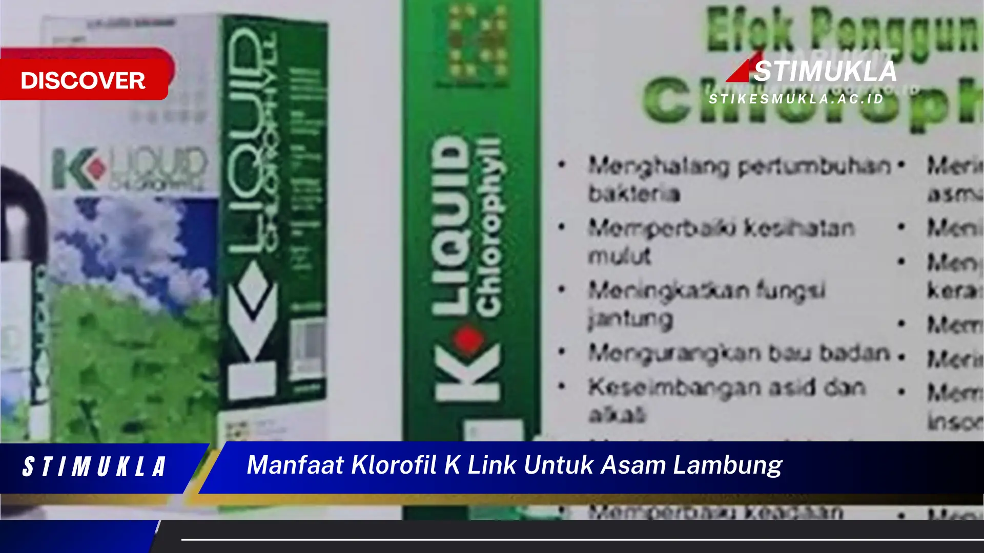 manfaat klorofil k link untuk asam lambung