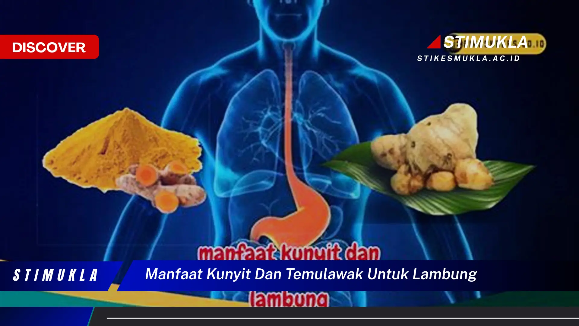 manfaat kunyit dan temulawak untuk lambung