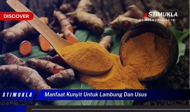 manfaat kunyit untuk lambung dan usus