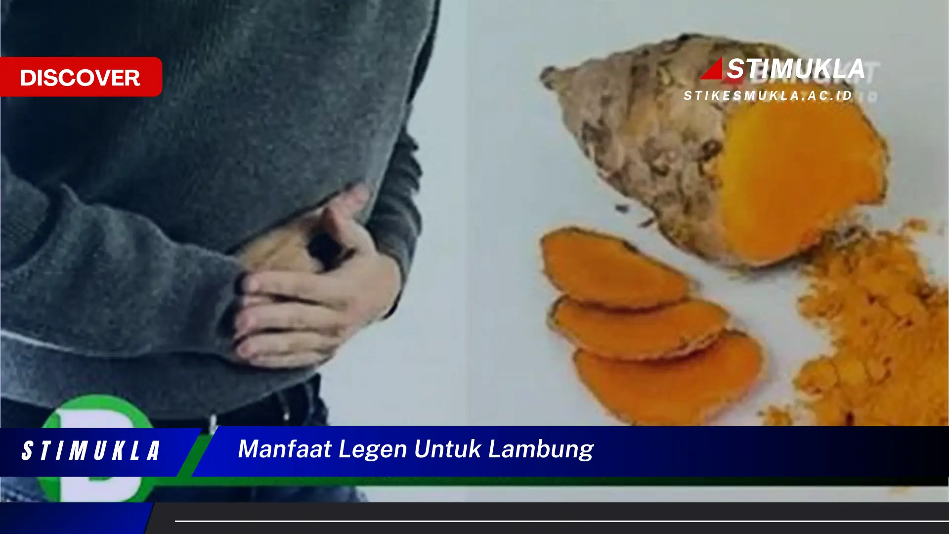 manfaat legen untuk lambung