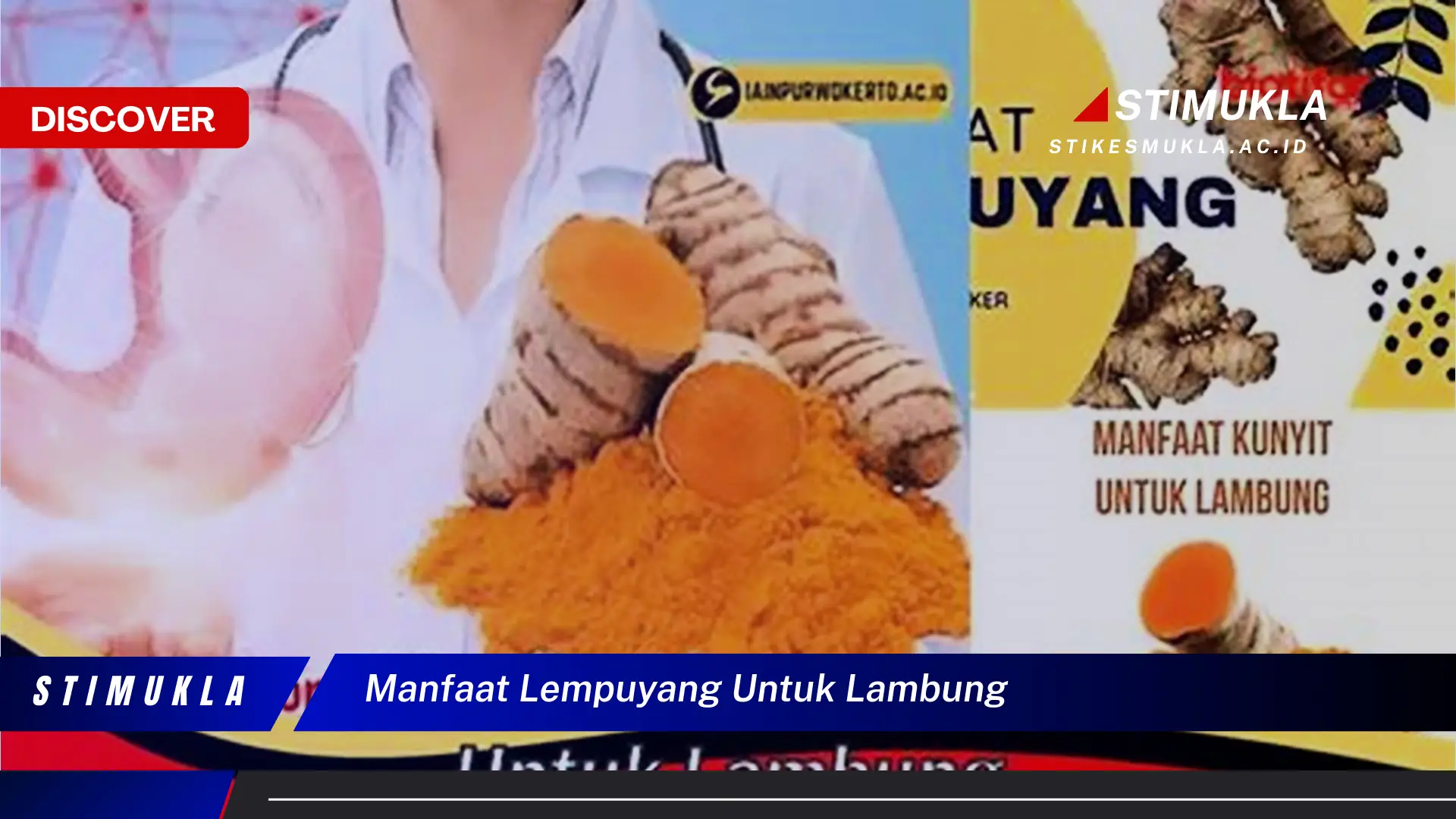 Temukan Manfaat Lempuyang untuk Lambung yang Menakjubkan