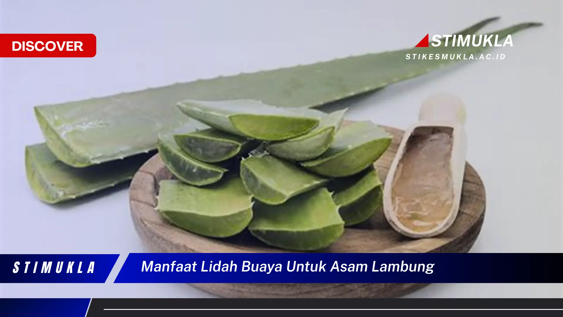 manfaat lidah buaya untuk asam lambung