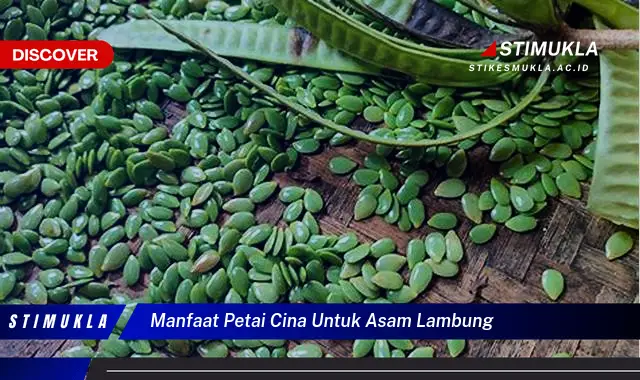 manfaat petai cina untuk asam lambung