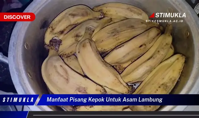 manfaat pisang kepok untuk asam lambung