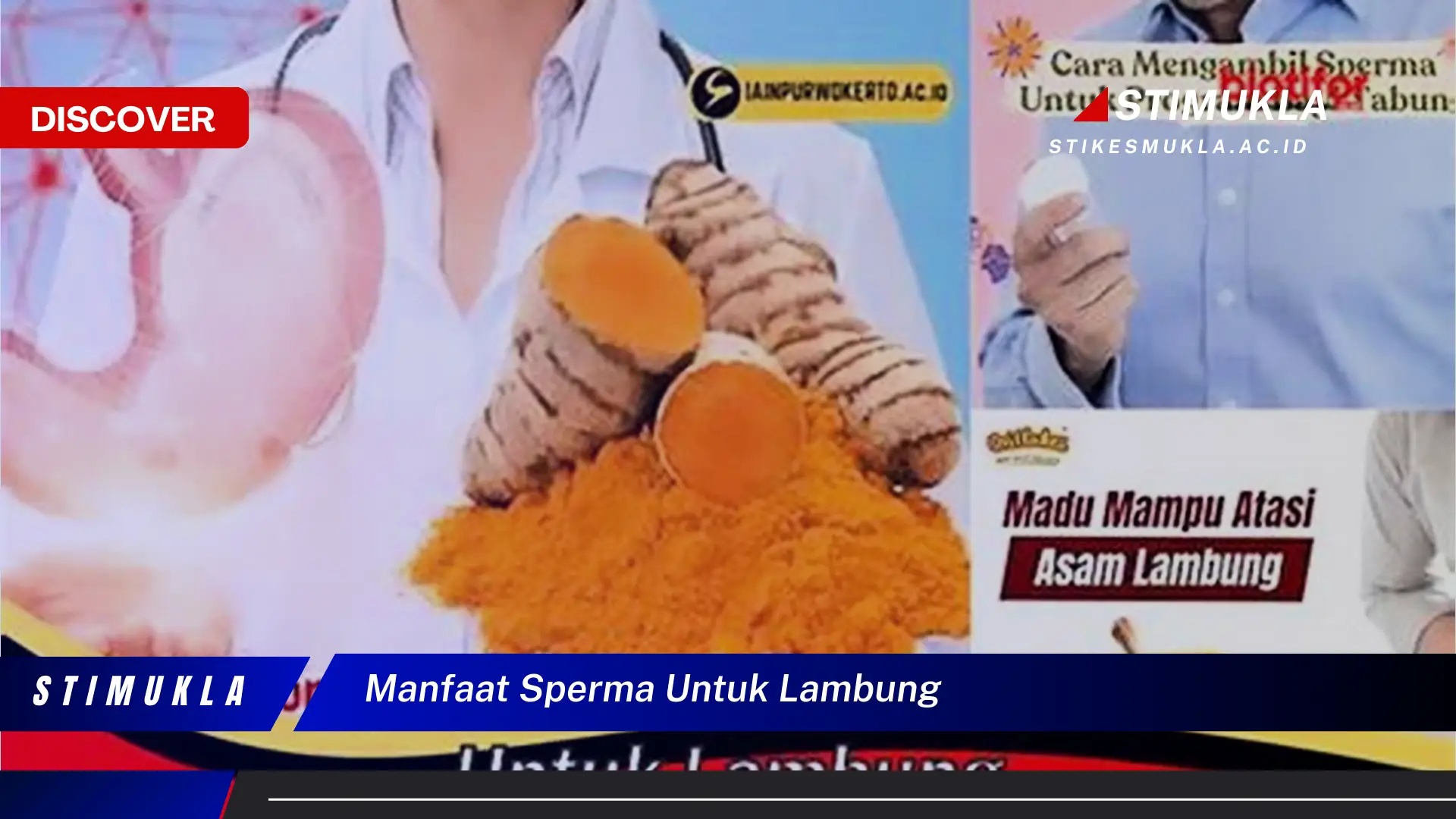 Temukan Manfaat Sperma untuk Lambung: Fakta Mengejutkan