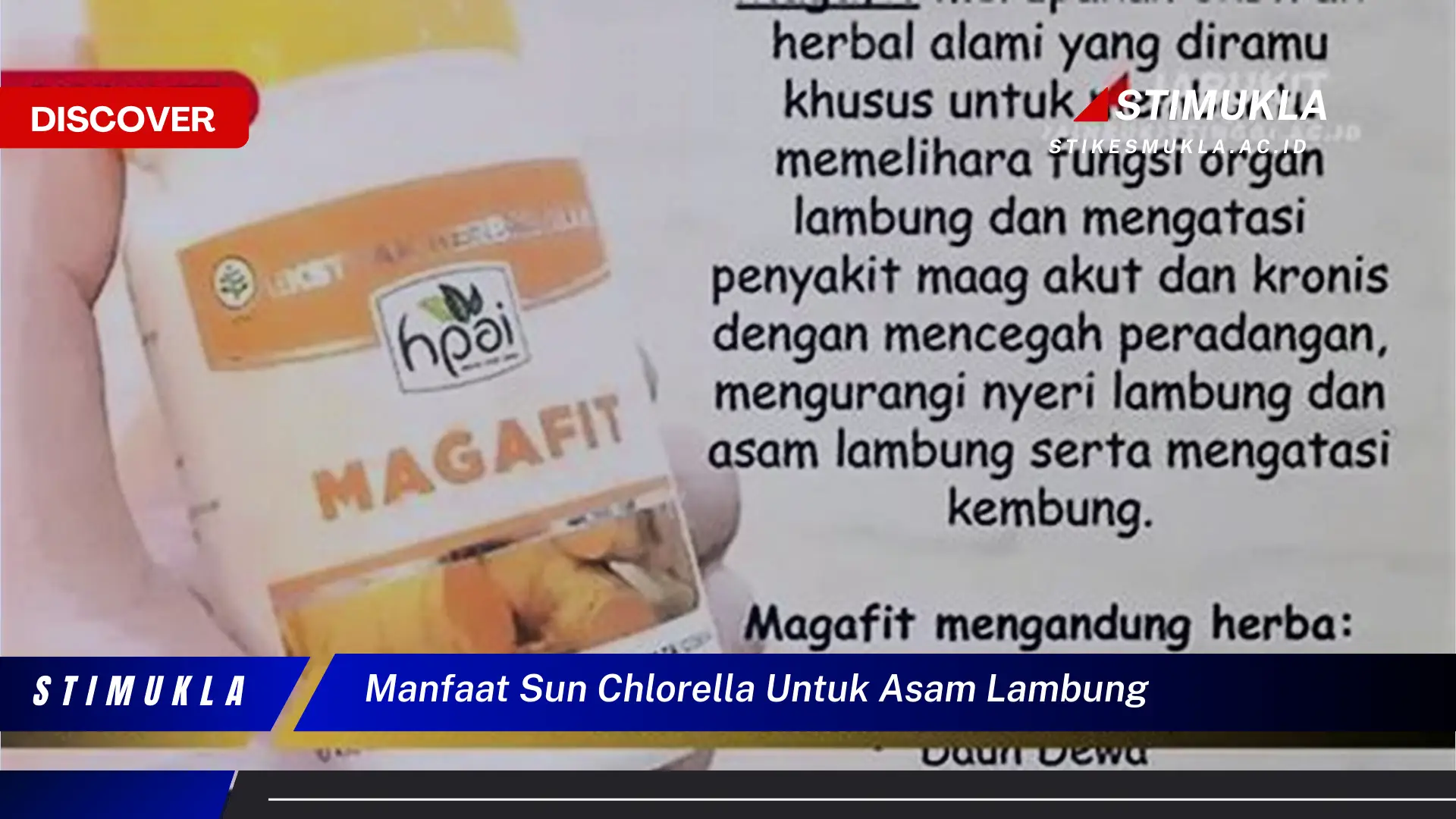 manfaat sun chlorella untuk asam lambung