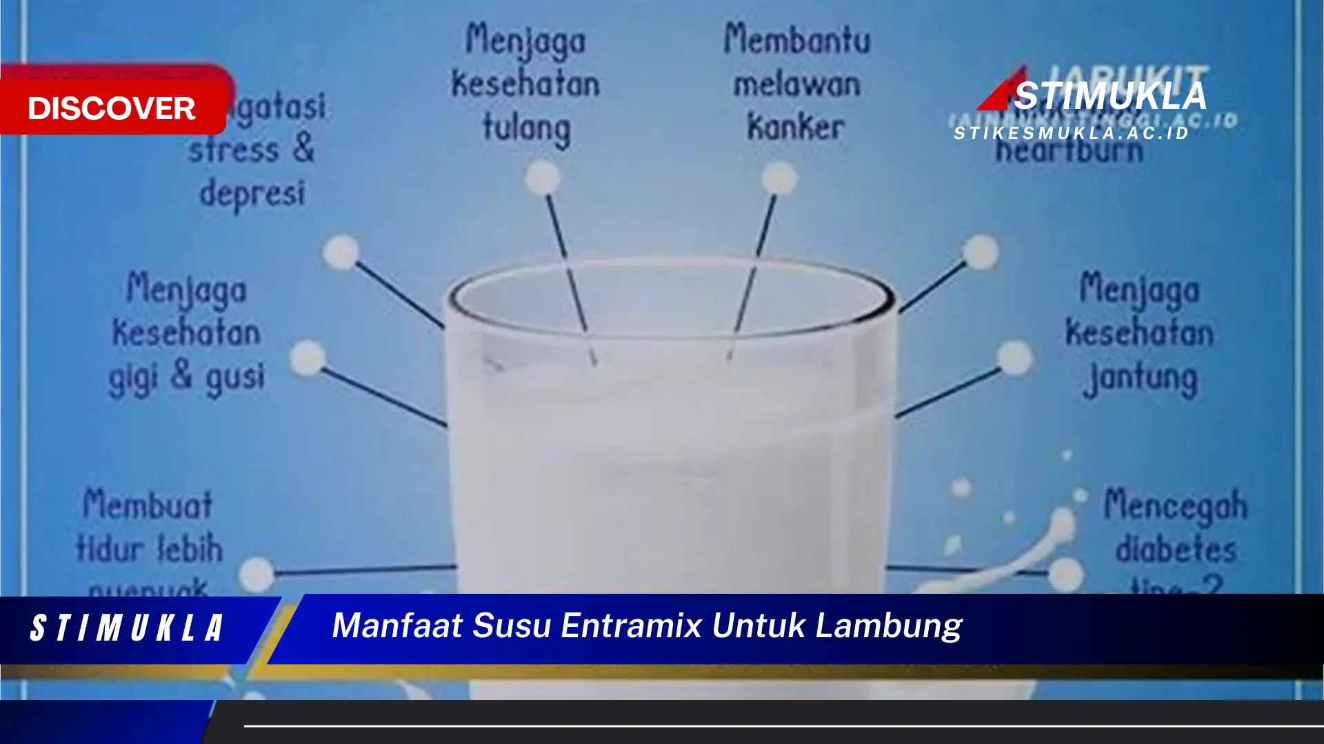 manfaat susu entramix untuk lambung