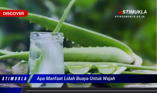 apa manfaat lidah buaya untuk wajah