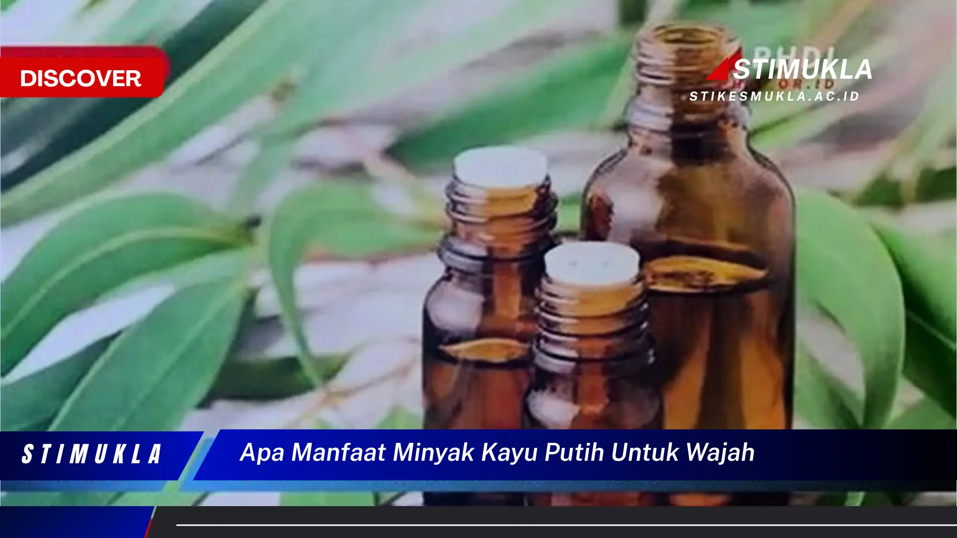 apa manfaat minyak kayu putih untuk wajah