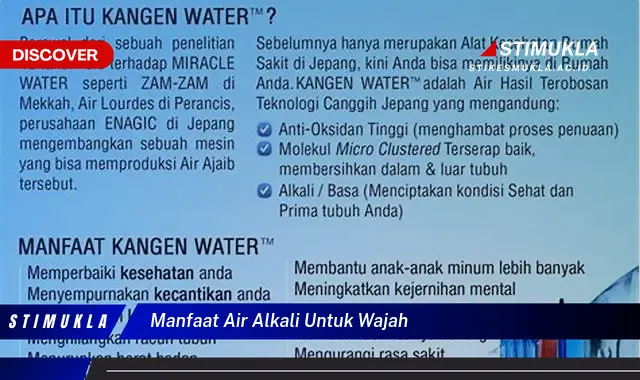 manfaat air alkali untuk wajah