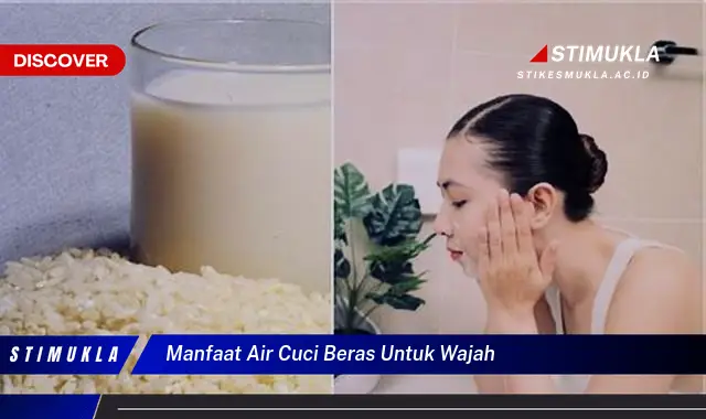 manfaat air cuci beras untuk wajah