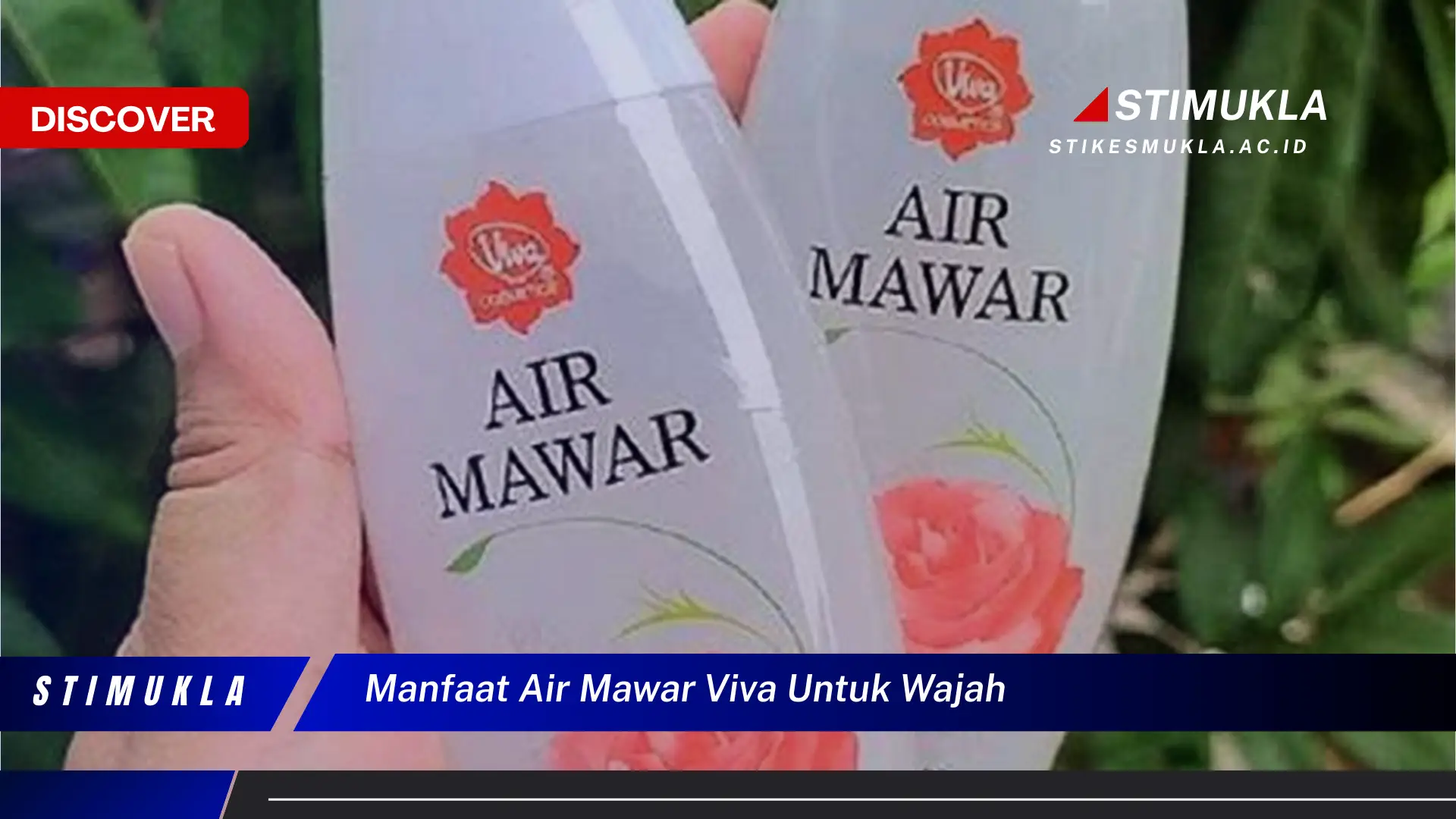 manfaat air mawar viva untuk wajah