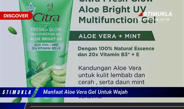 manfaat aloe vera gel untuk wajah