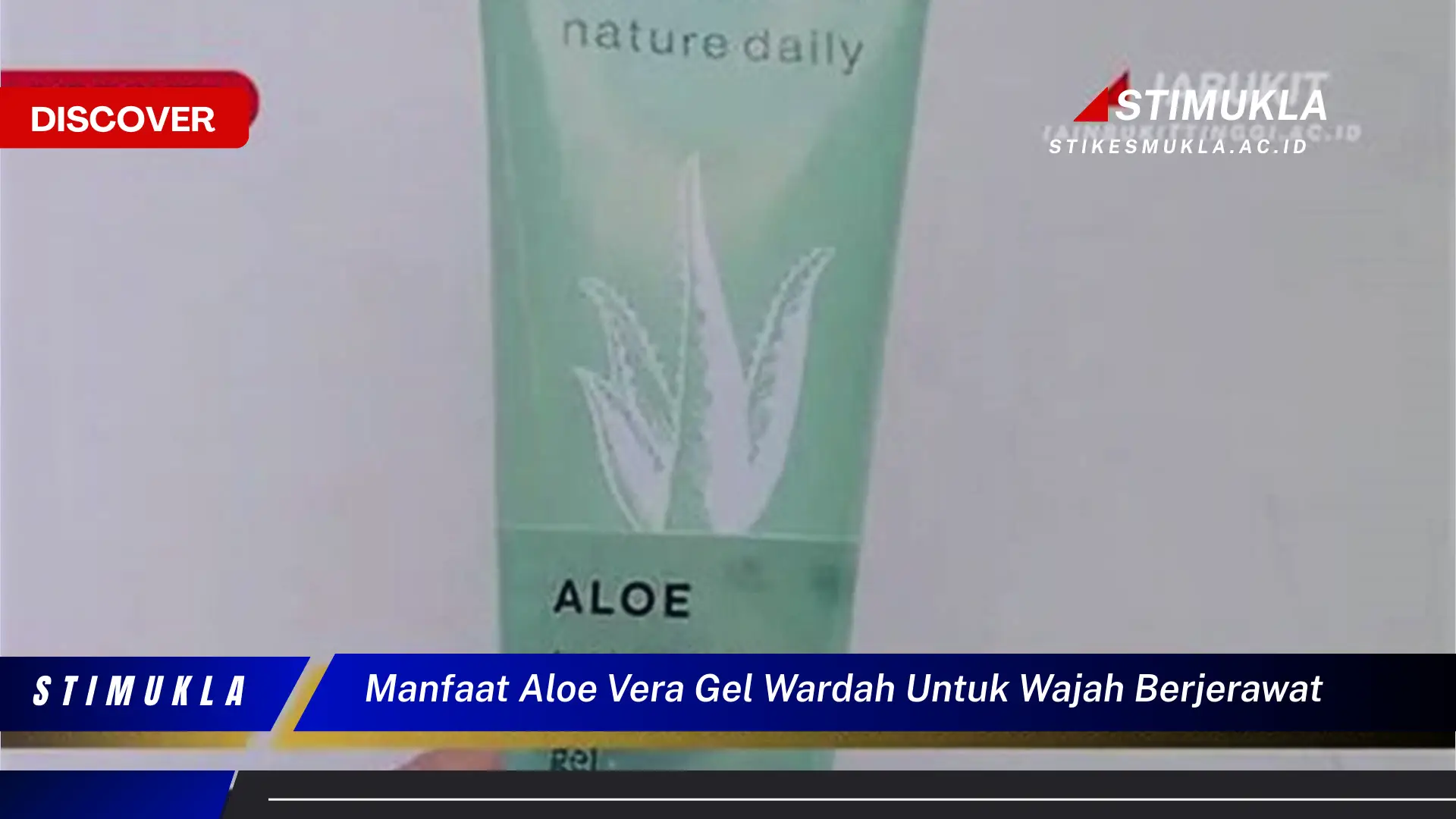 manfaat aloe vera gel wardah untuk wajah berjerawat