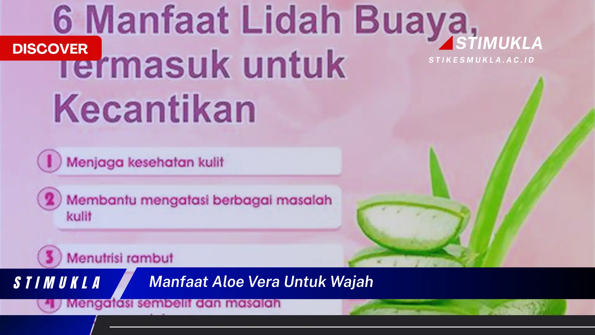manfaat aloe vera untuk wajah manfaat aloe vera untuk wajah