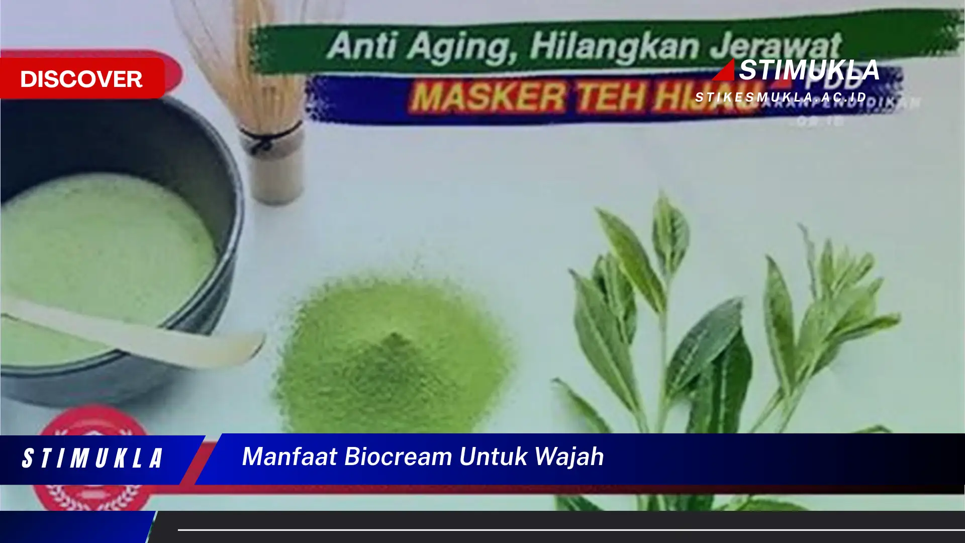 manfaat biocream untuk wajah manfaat biocream untuk wajah