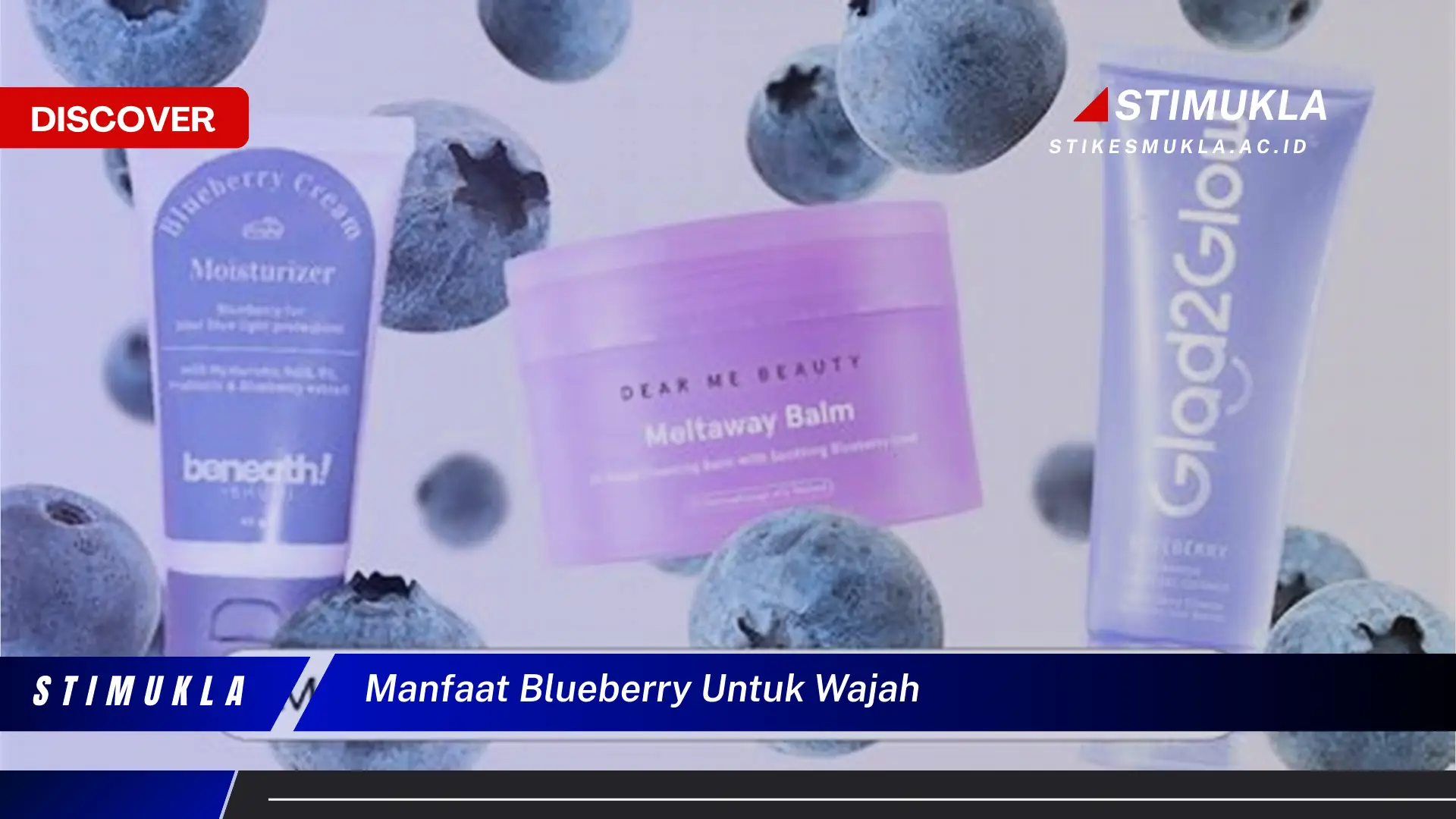 manfaat blueberry untuk wajah