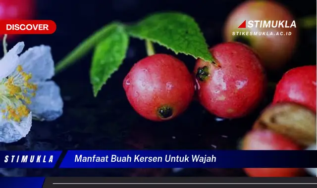 manfaat buah kersen untuk wajah