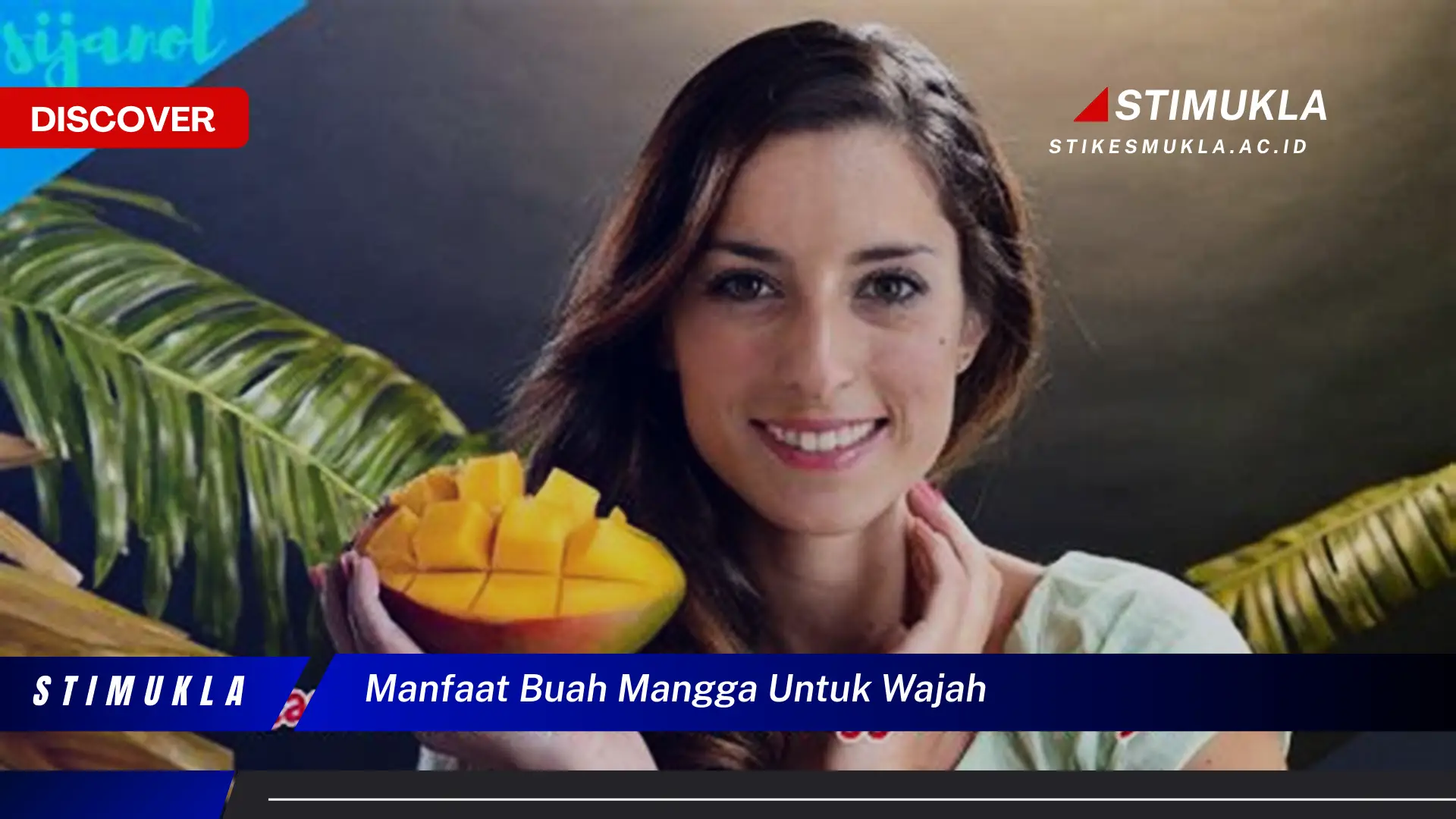 manfaat buah mangga untuk wajah manfaat buah mangga untuk wajah