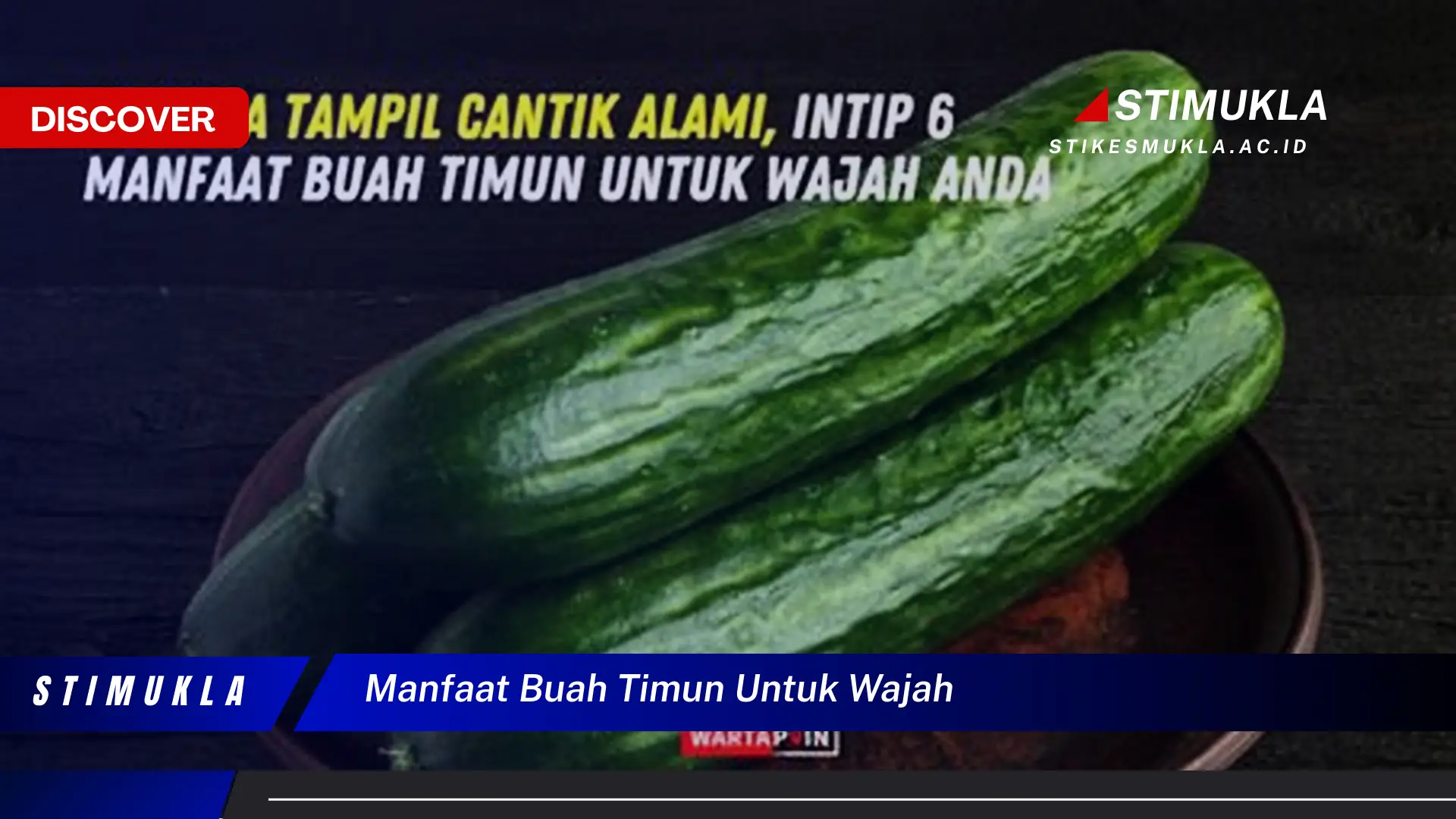 manfaat buah timun untuk wajah manfaat buah timun untuk wajah