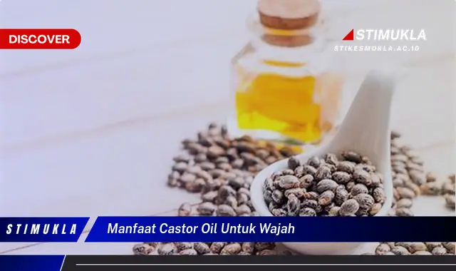 manfaat castor oil untuk wajah