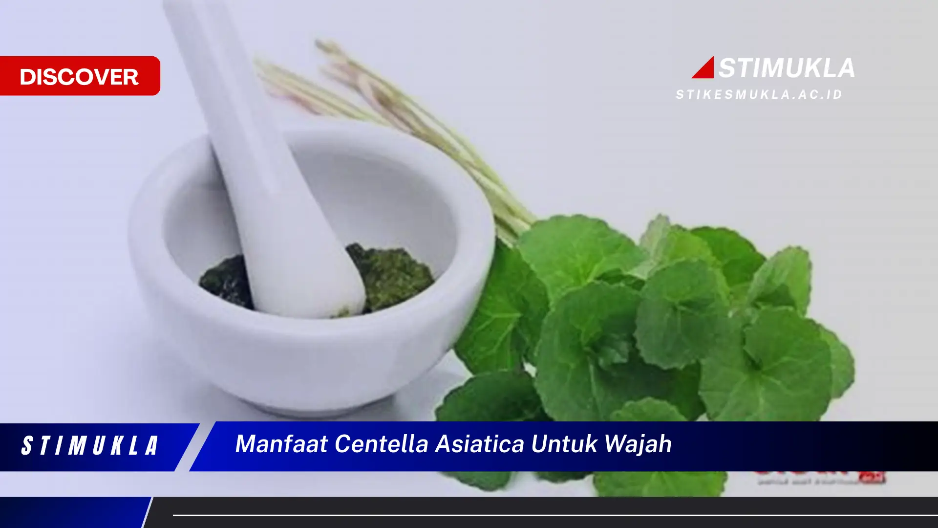 manfaat centella asiatica untuk wajah