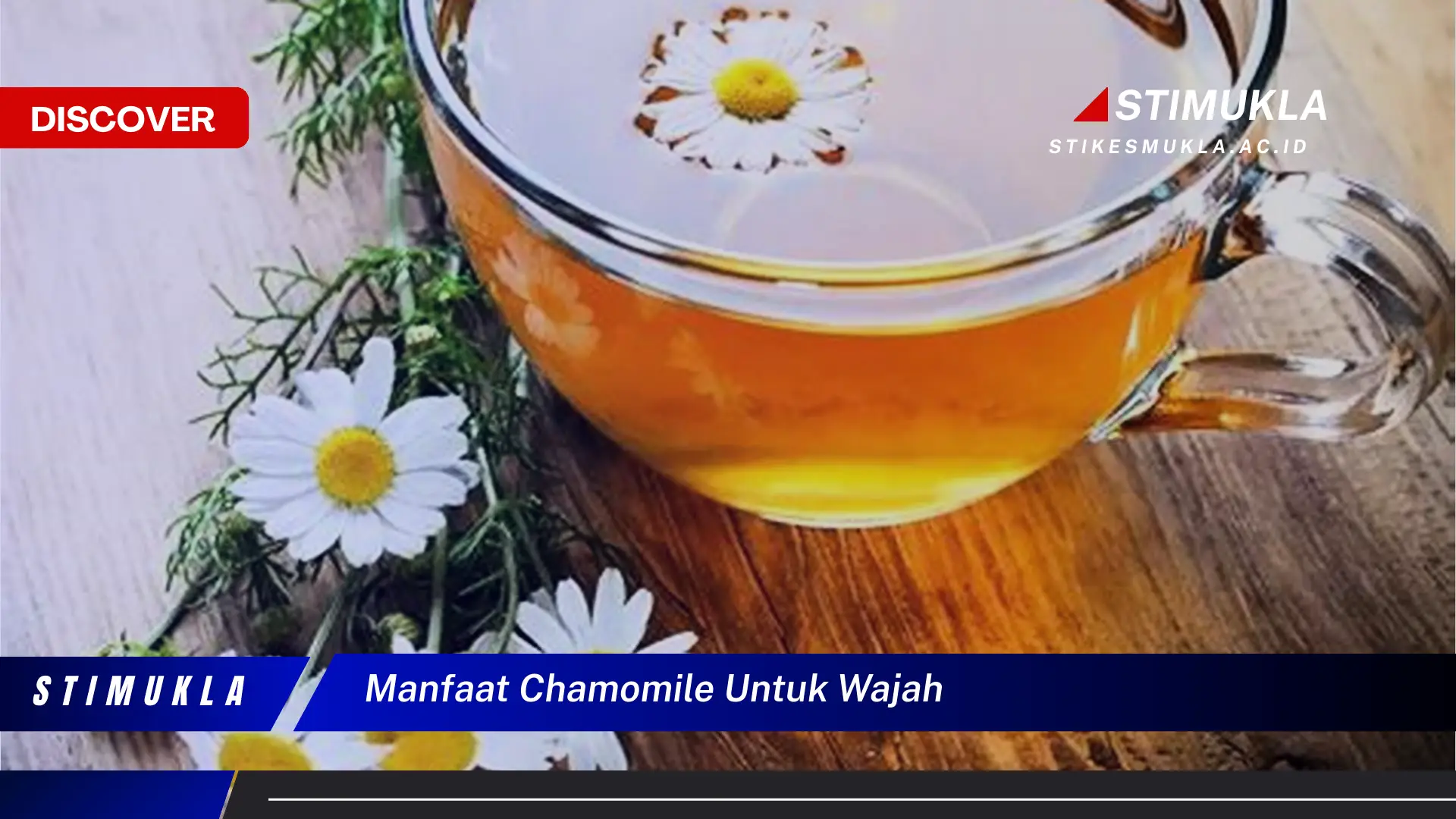 Temukan 10 Manfaat Chamomile untuk Wajah yang Wajib Kamu Ketahui