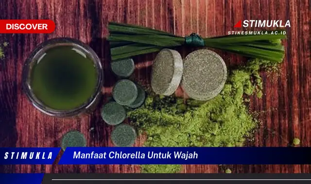 manfaat chlorella untuk wajah