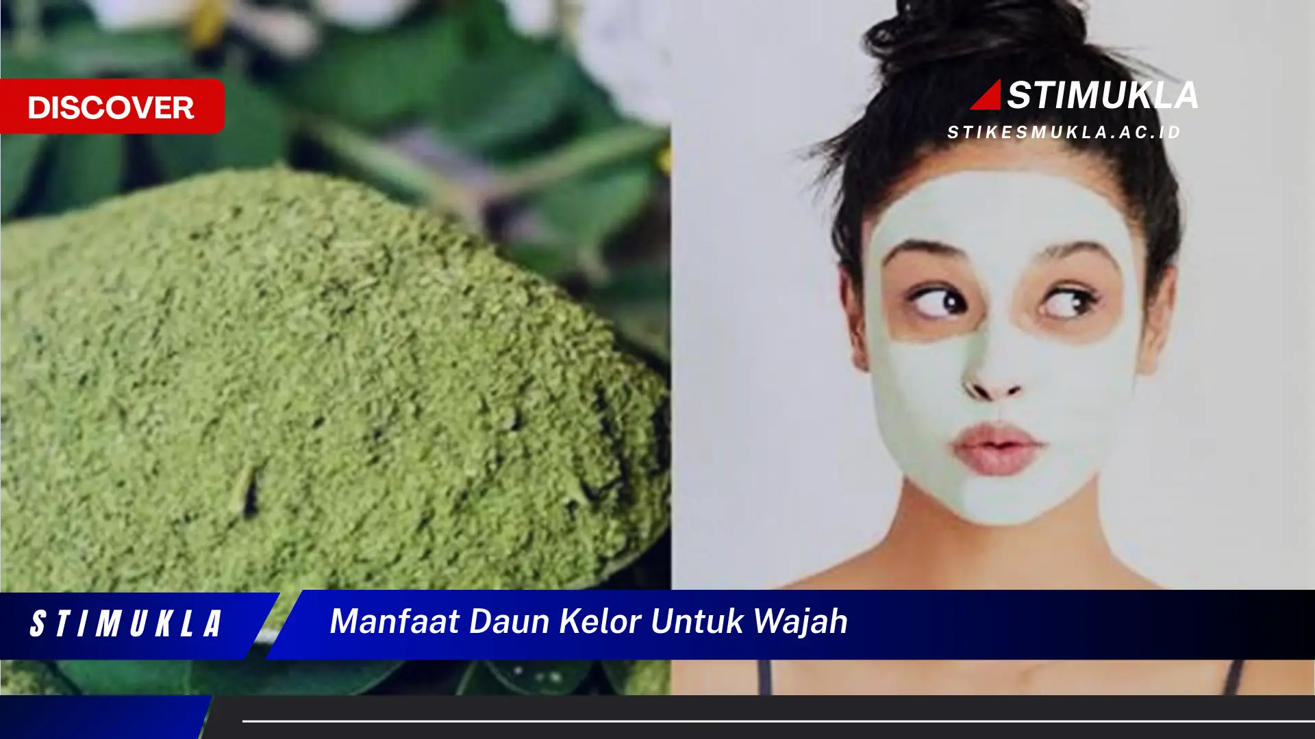 manfaat daun kelor untuk wajah