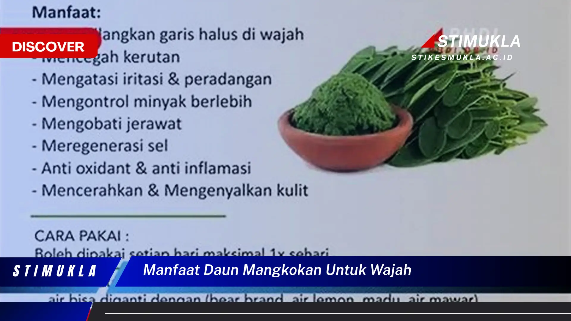 manfaat daun mangkokan untuk wajah manfaat daun mangkokan untuk wajah