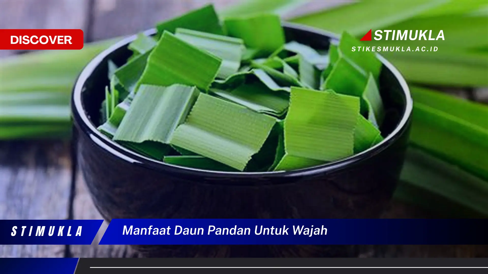 manfaat daun pandan untuk wajah manfaat daun pandan untuk wajah