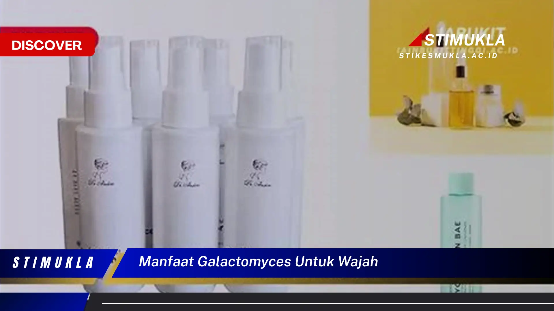 manfaat galactomyces untuk wajah