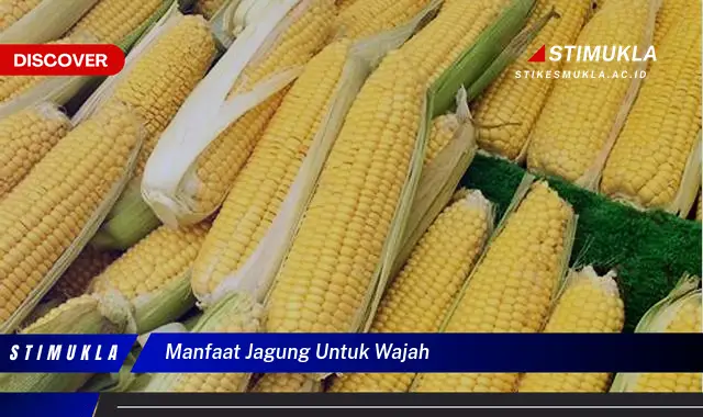 manfaat jagung untuk wajah