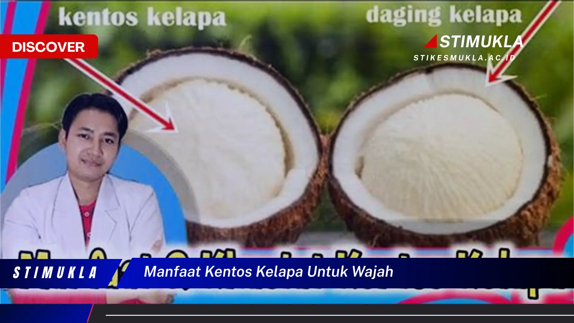 manfaat kentos kelapa untuk wajah manfaat kentos kelapa untuk wajah