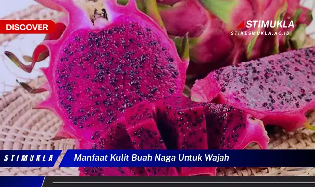 manfaat kulit buah naga untuk wajah