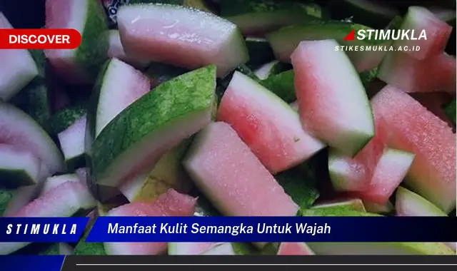 manfaat kulit semangka untuk wajah