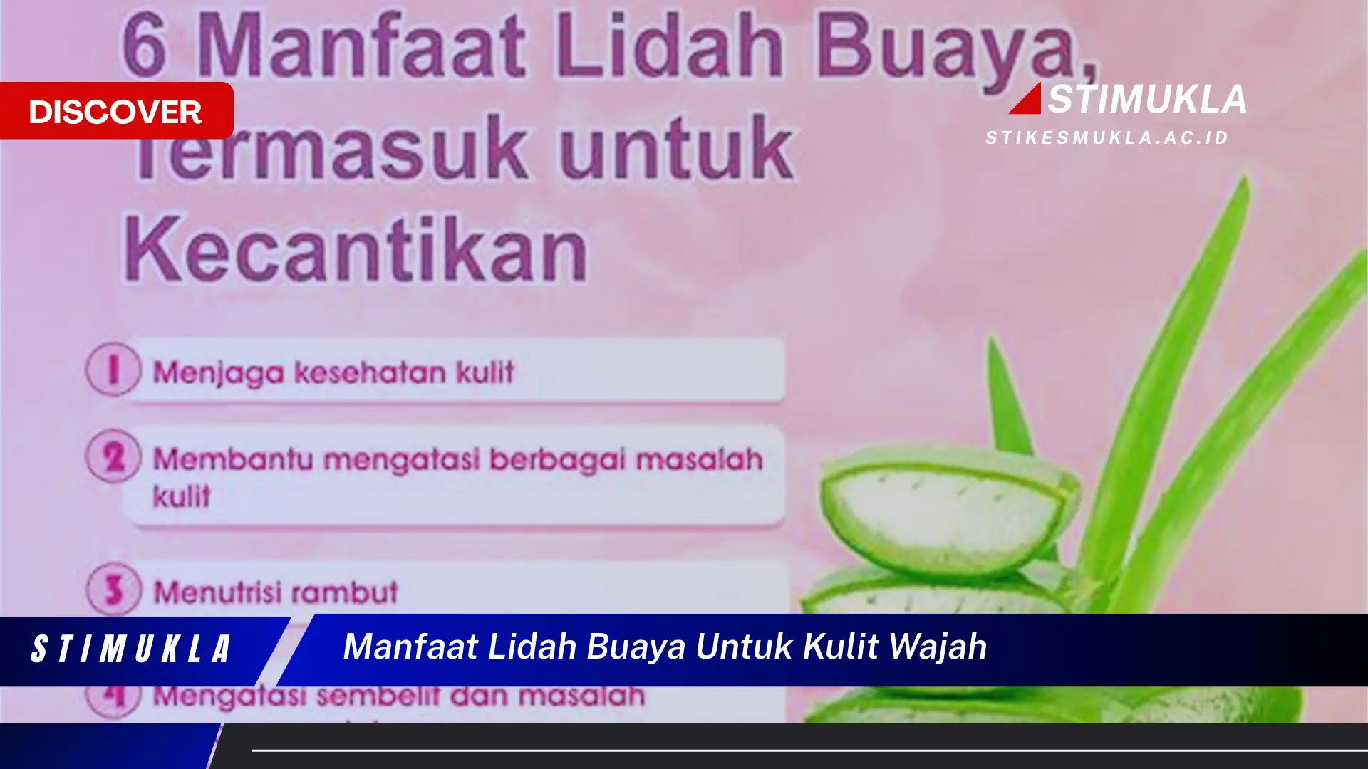 manfaat lidah buaya untuk kulit wajah