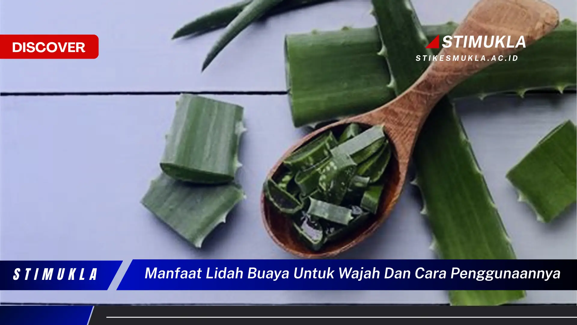 manfaat lidah buaya untuk wajah dan cara penggunaannya