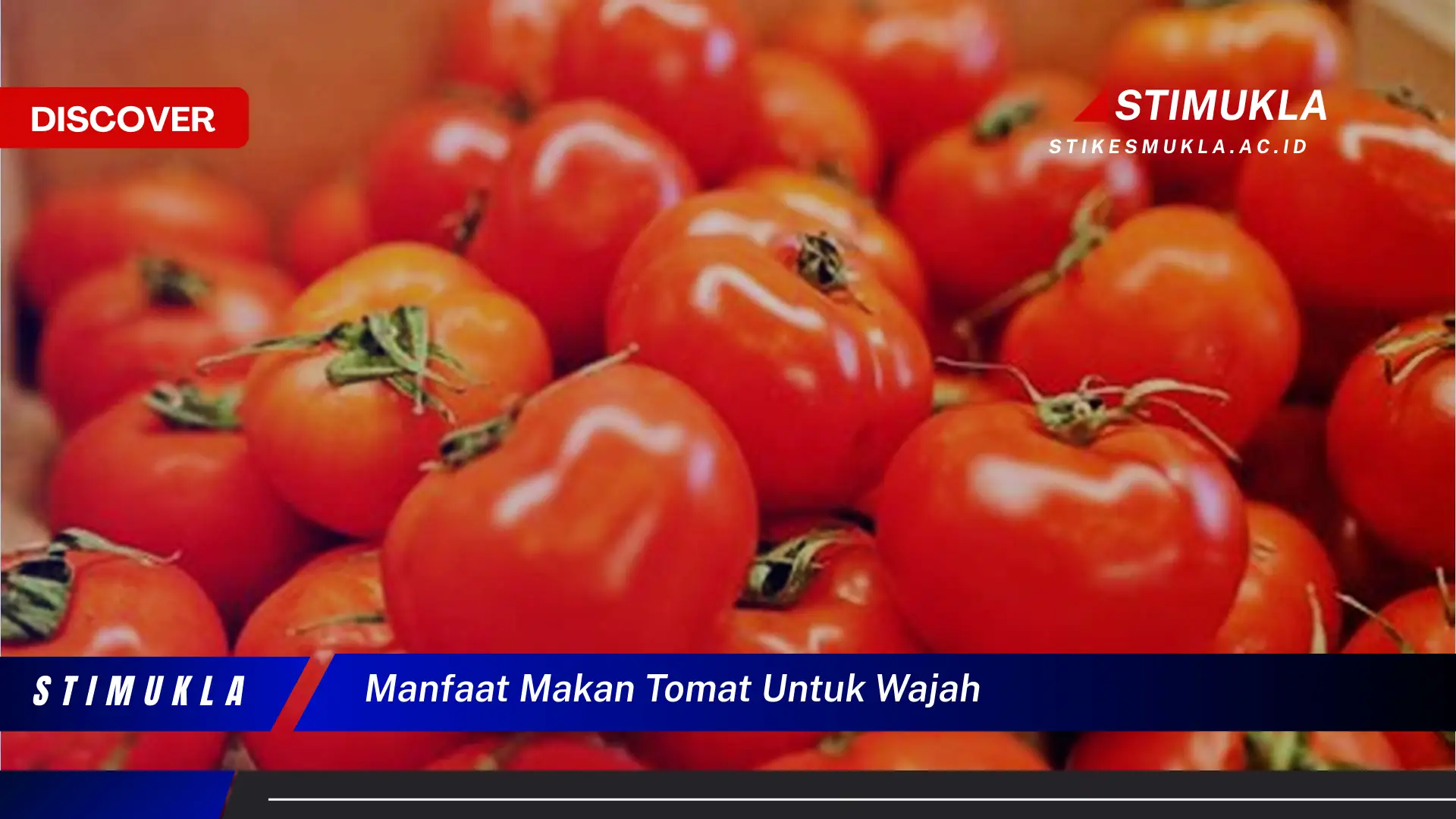 manfaat makan tomat untuk wajah