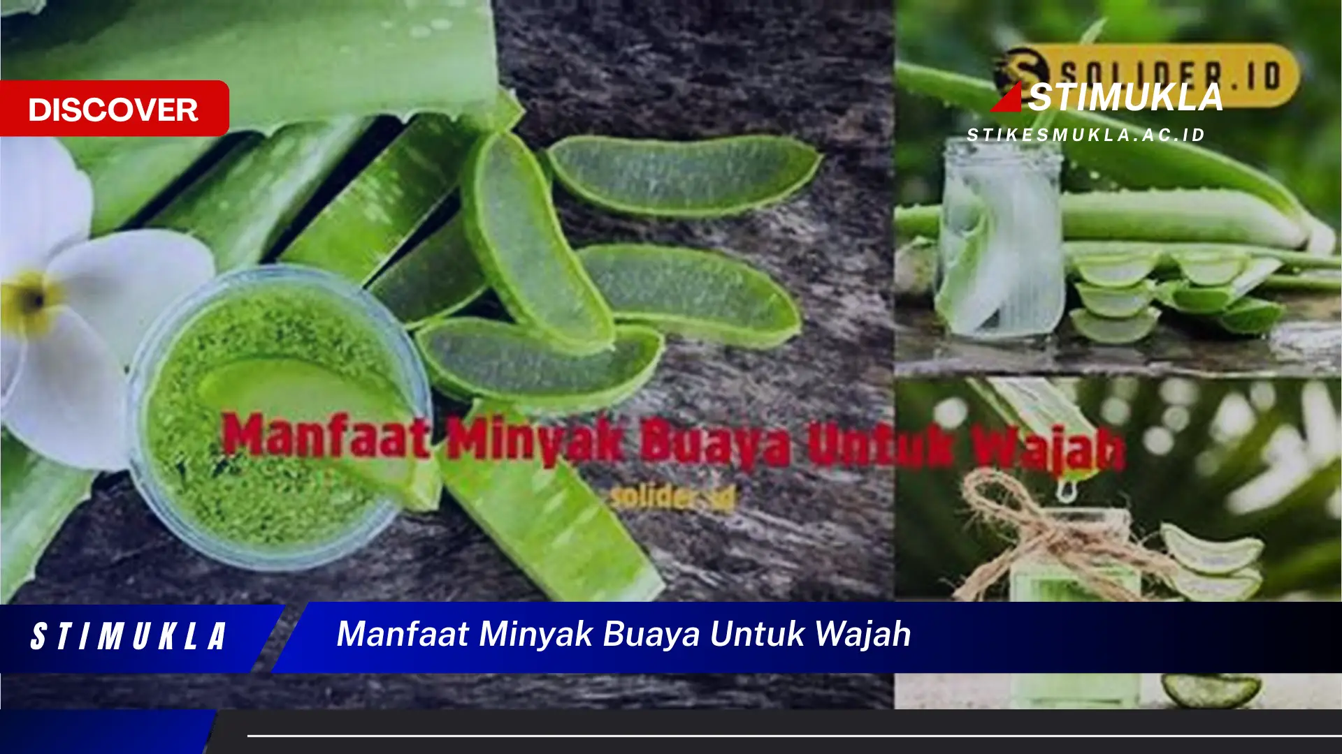 manfaat minyak buaya untuk wajah