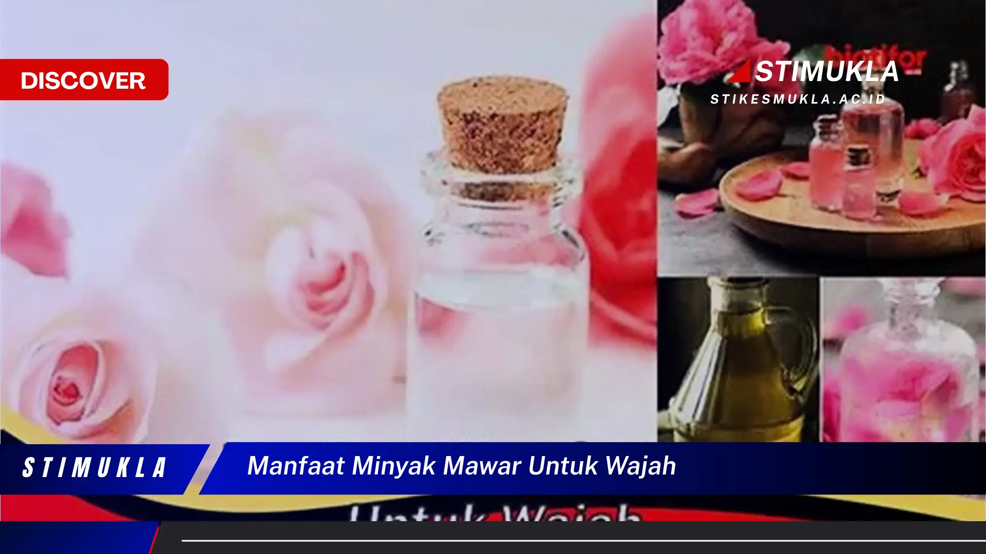 manfaat minyak mawar untuk wajah manfaat minyak mawar untuk wajah