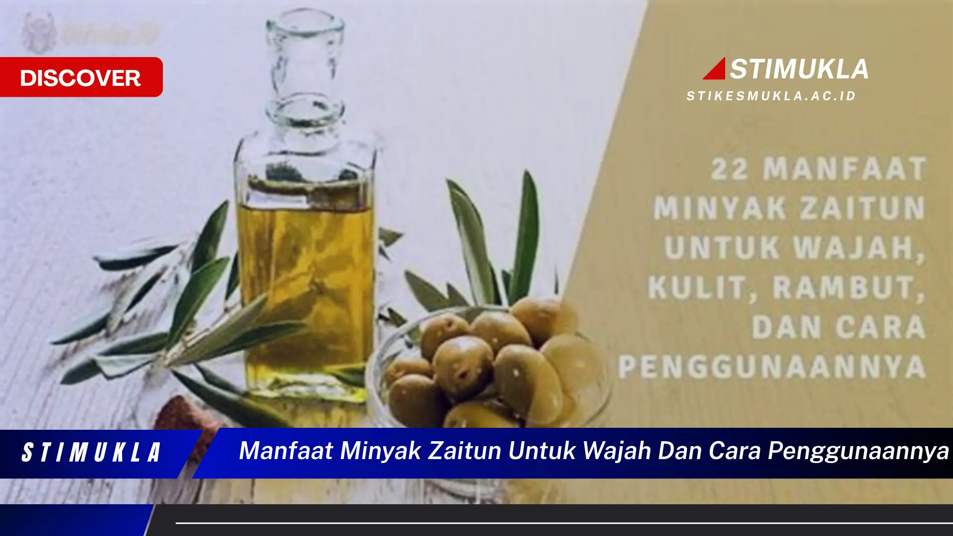 manfaat minyak zaitun untuk wajah dan cara penggunaannya manfaat minyak zaitun untuk wajah dan cara penggunaannya