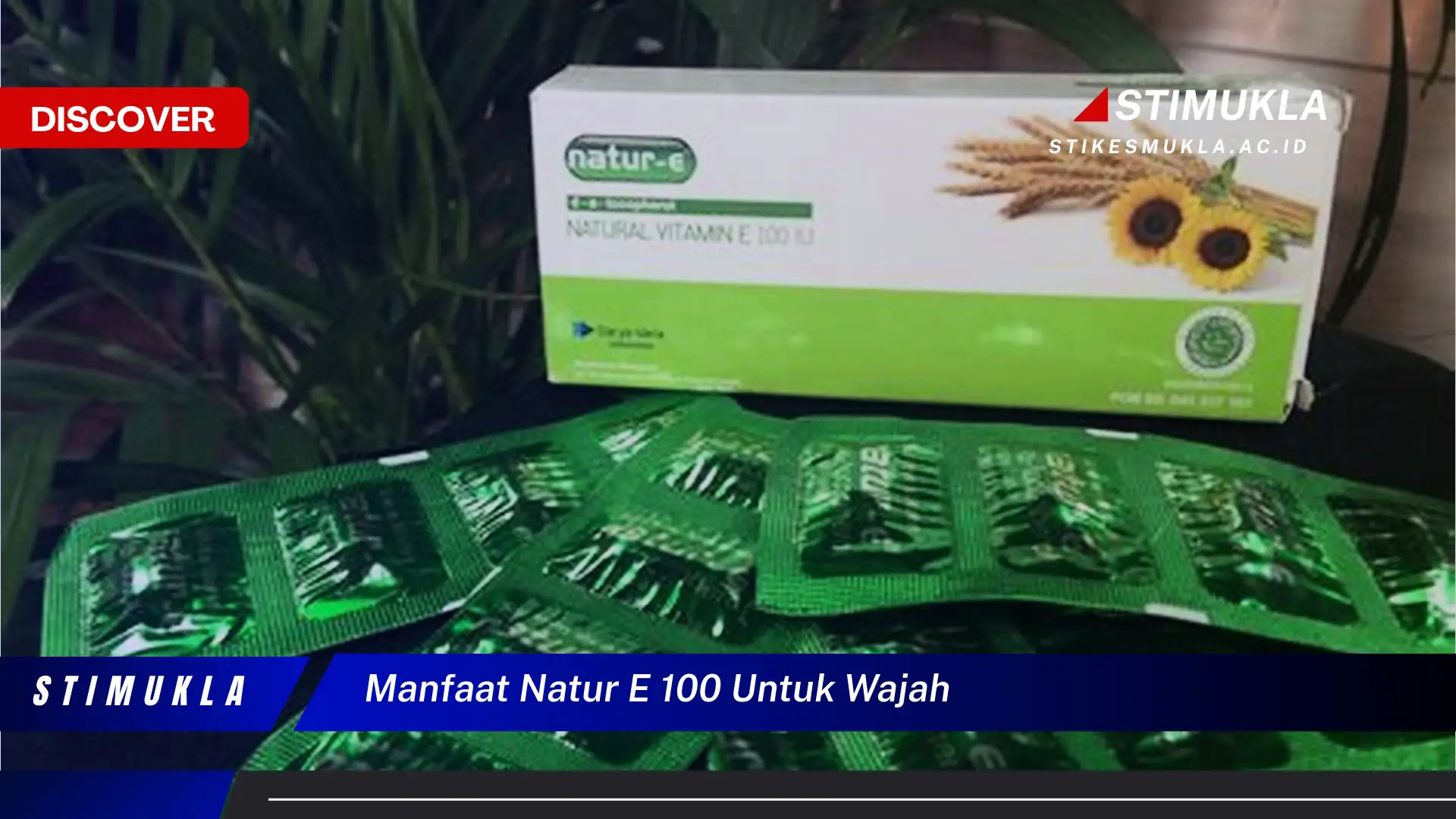 manfaat natur e 100 untuk wajah