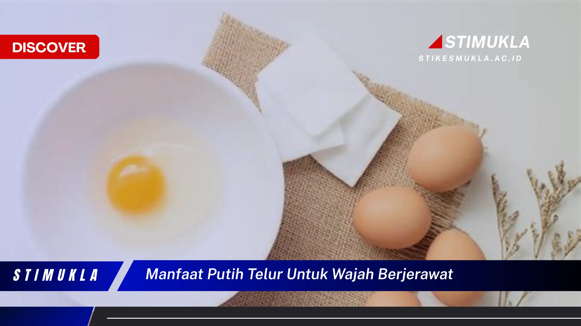 manfaat putih telur untuk wajah berjerawat