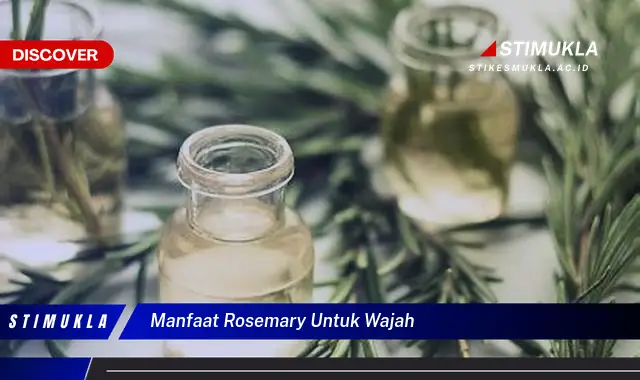 manfaat rosemary untuk wajah