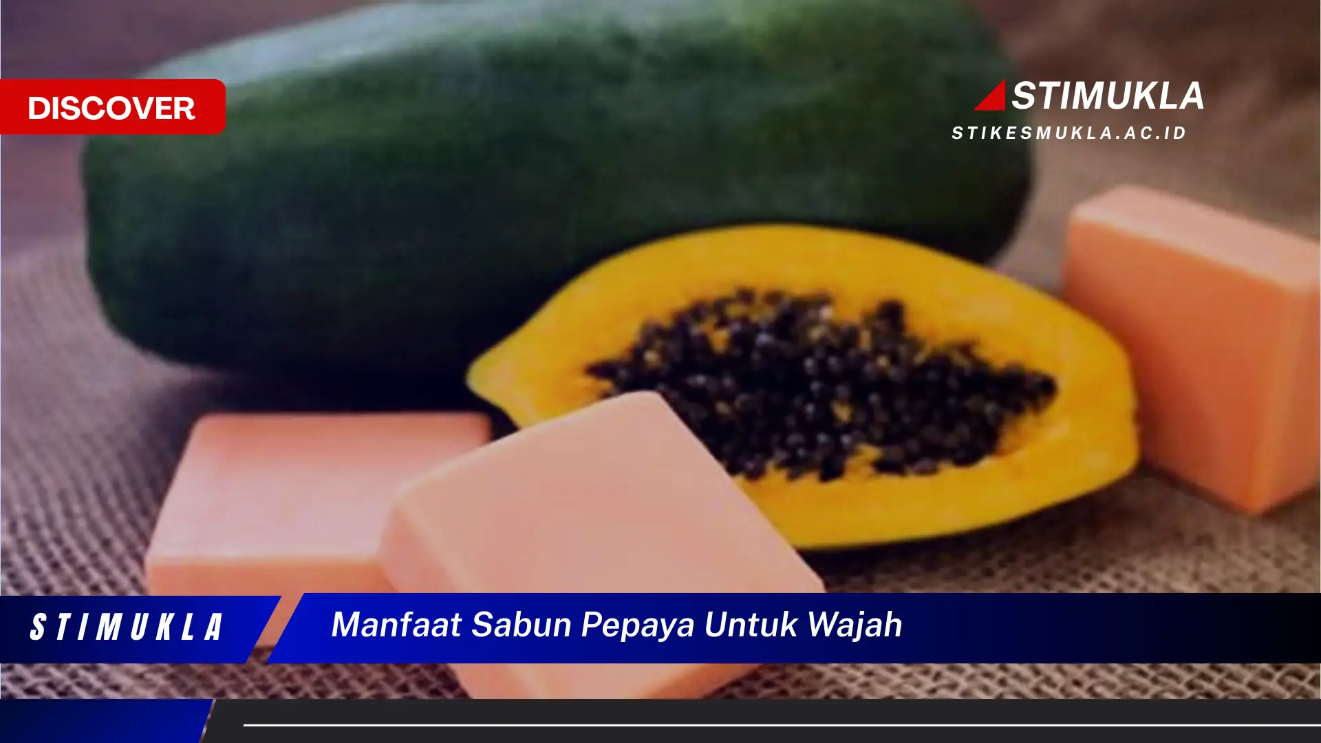 manfaat sabun pepaya untuk wajah manfaat sabun pepaya untuk wajah