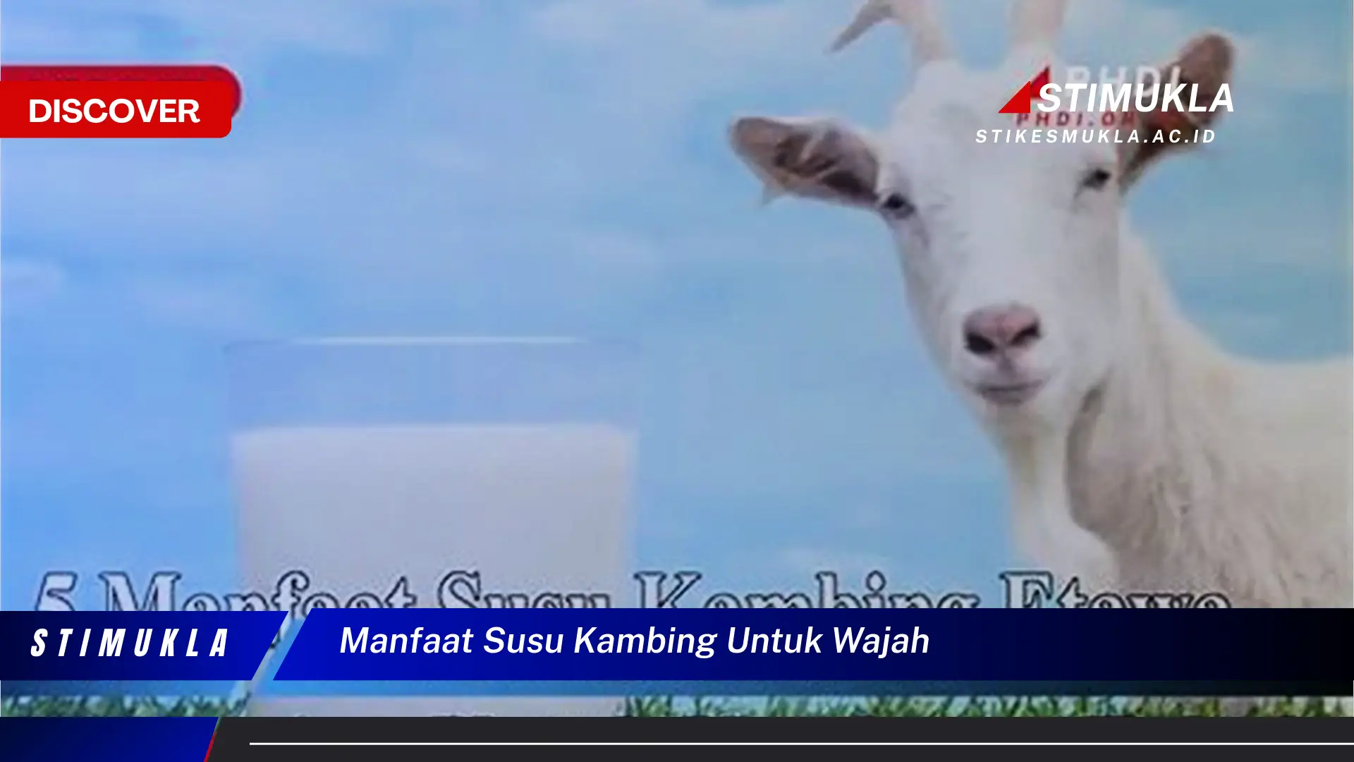 manfaat susu kambing untuk wajah