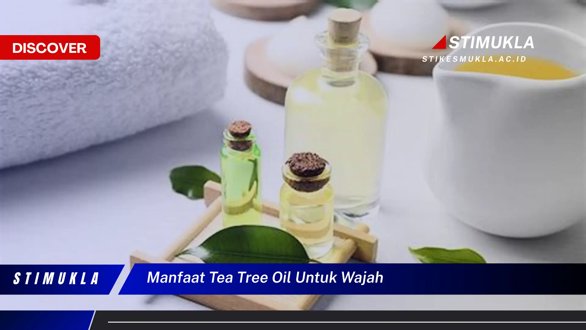 manfaat tea tree oil untuk wajah