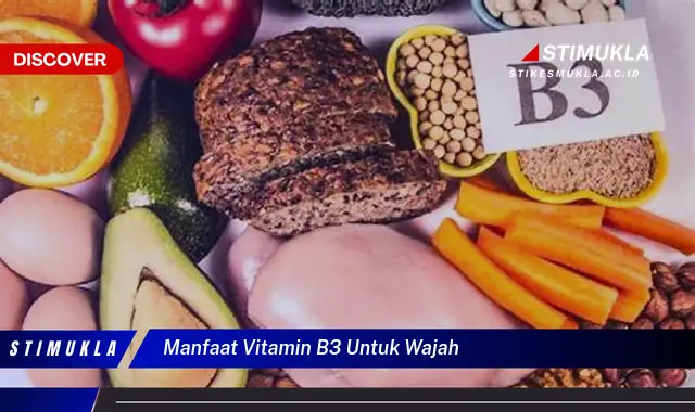 manfaat vitamin b3 untuk wajah