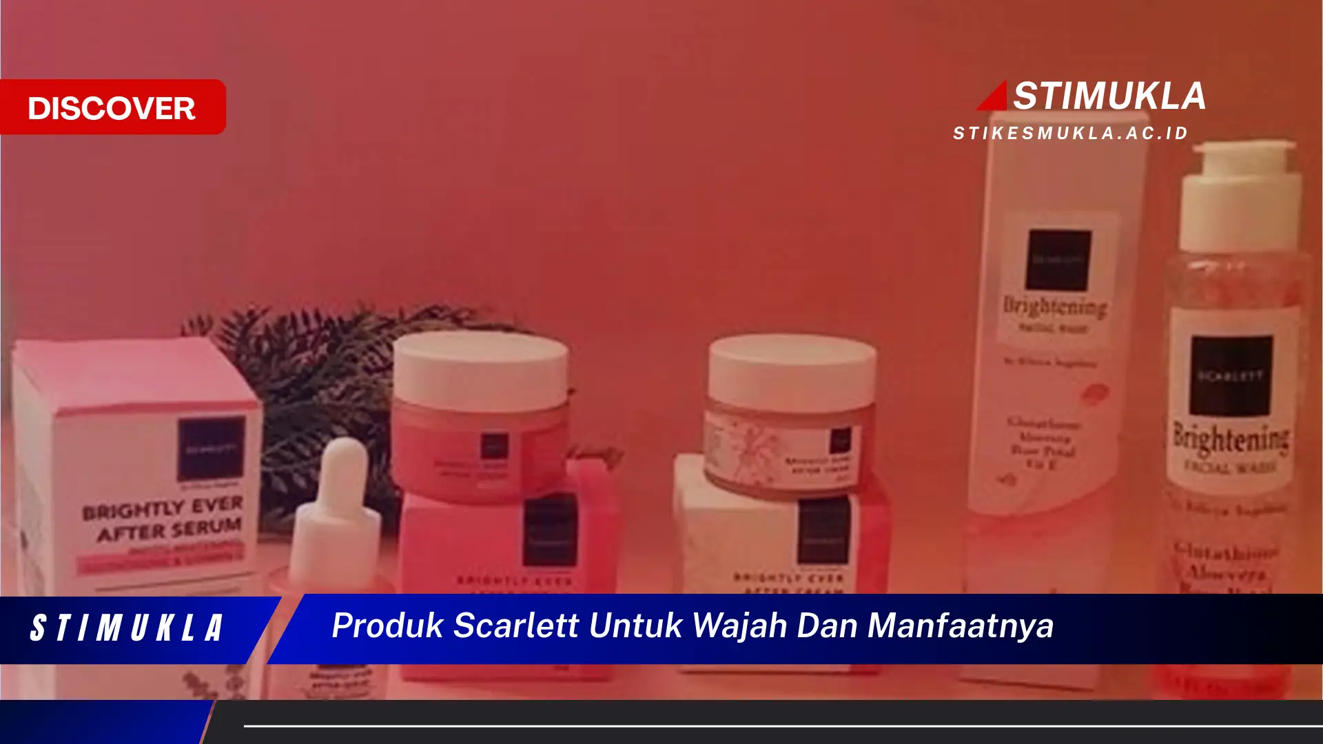produk scarlett untuk wajah dan manfaatnya produk scarlett untuk wajah dan manfaatnya